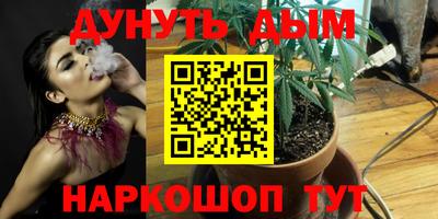 дживик Обь